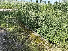 24 06 Erpa Erp 16