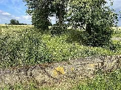 24 06 Erpa Weiler 34