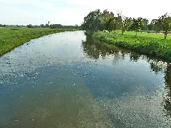 282 Donauwiesen