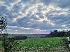 328 Blick Vom Waldstück Im Schippen Bei Louisendorf, Richtung Frankenberg