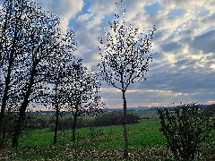 330 Blick Vom Waldstück Im Schippen Bei Louisendorf, Rechts Frankenberg, Links Geismar