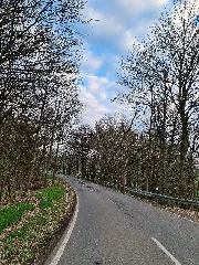 331 Waldstück Im Schippen Bei Louisendorf