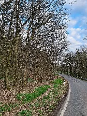 332 Waldstück Im Schippen Bei Louisendorf
