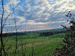 341 Waldstück Im Schippen Bei Louisendorf, Blick Richtung Geismar