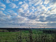 348 Waldstück Im Schippen Bei Louisendorf, Blick Richtung Geismar