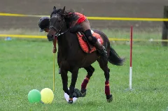 4Ème Manche Du Championnat Suisse De Pony Games 2013 25082013 Laconnex 100