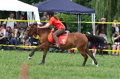 4Ème Manche Du Championnat Suisse De Pony Games 2013 25082013 Laconnex 11