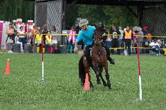 4Ème Manche Du Championnat Suisse De Pony Games 2013 25082013 Laconnex 18