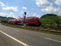 442003 Near Nittel (Mosel) In July 2014