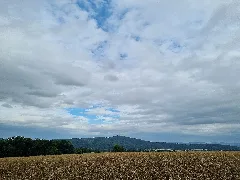 471 Planetenweg Zwischen Bad Zwesten Und Oberurff Schiffelborn, Blick Vom Waldrand Zum Altenberg