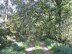 49849 Wilsum, Germany Panoramio