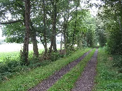 49849 Wilsum, Germany Panoramio Roland Meijerink (7)