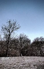 500Px Photo (138224925)