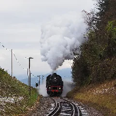 64 419 Wieslauftalbahn 02