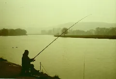 83Angler