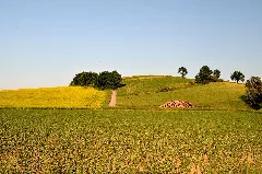 A Hill In Thalheim, Kapelln