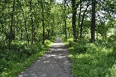 A Part Of Haan Hilden Panoramio