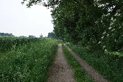 A Part Of Mettmann Panoramio