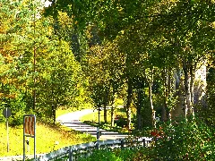 A Road Panoramio (3)
