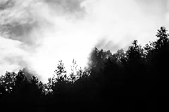 A Walk In The Morning (15798783340)