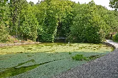 Aachtopf 2014 06 17 04