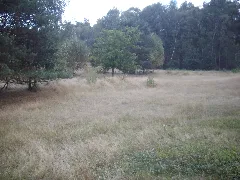 Aaper Vennekes 2
