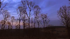 Abenddämmerung Auf Dem Hügel 12.3.2011 Panoramio (1)