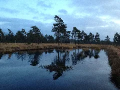 Abendspaziergang Im Tister Bauernmoor