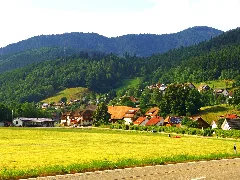 Abgesoffen Panoramio (1)