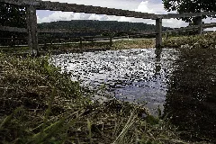 Abschnitt Des Ludwig Donau Main Kanals (D 3 73 112 289) 02