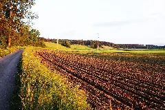 Acker Nördlich Schongau Mai 2014 (1)