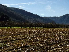 Acker Panoramio (1)