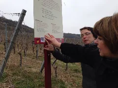 Add Qr Code