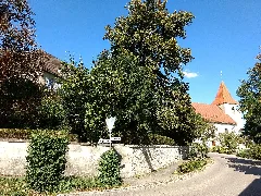 Adelmannsfelden 2018 07
