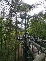 Adlerhorst Biosphärenhaus 1