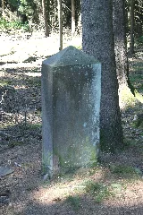 Adlerstein Wuerzberg