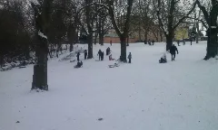 Adlerwiese In Frankfurt Praunheim1