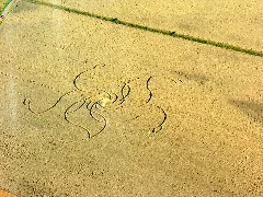 Aerial View Of The Crop Circle In Diessenhofen 15.07.2008 16 44 20
