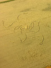 Aerial View Of The Crop Circle In Diessenhofen 15.07.2008 16 44 35