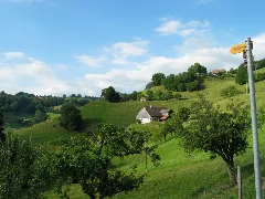 Affrini's Home Panoramio
