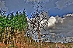 After The Storm Panoramio Peterdahlmann
