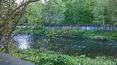 Agger Overath An Der Brücke 4