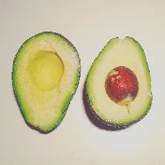 Aguacate 2016 Cz
