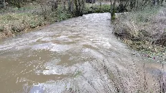 Ahbach Bei Nohner Muehle 2013