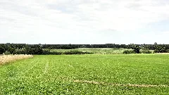 Ahlen, Germany Panoramio (73)