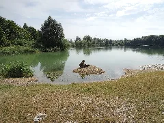 Aindlinger Baggersee