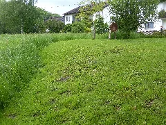 Ainring (Adelstetten 4)