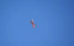 Air Berlin A320 214, D Abhh, As Ab 8013 Arn Dus (33825834773)