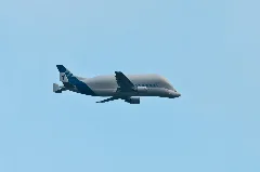 Airbus Beluga 1 F Gsta 03