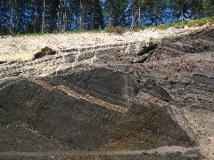 Airfall Eruption Panoramio